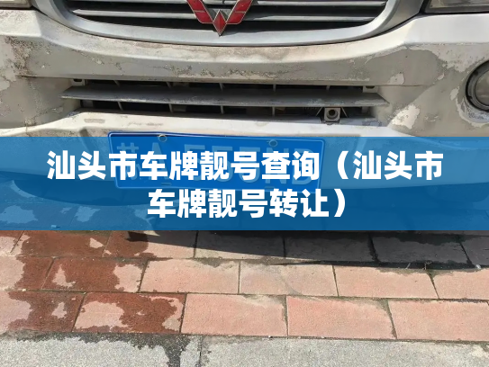 汕头市车牌靓号查询(汕头市车牌靓号转让)-第2张图片-七号汽车选号 汕头市车牌靓号查询(汕头市车牌靓号转让)-第2张图片-七号汽车选号