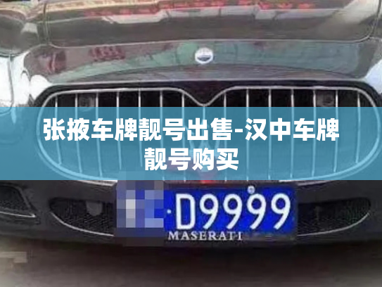张掖车牌靓号出售-汉中车牌靓号购买-第2张图片-七号汽车选号 张掖车牌靓号出售-汉中车牌靓号购买-第2张图片-七号汽车选号