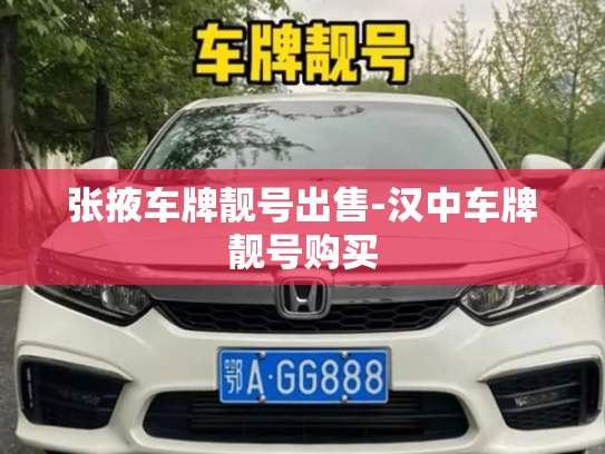 张掖车牌靓号出售-汉中车牌靓号购买-第3张图片-七号汽车选号 张掖车牌靓号出售-汉中车牌靓号购买-第3张图片-七号汽车选号