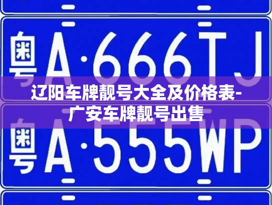 辽阳车牌靓号大全及价格表-广安车牌靓号出售-第2张图片-七号汽车选号 辽阳车牌靓号大全及价格表-广安车牌靓号出售-第2张图片-七号汽车选号