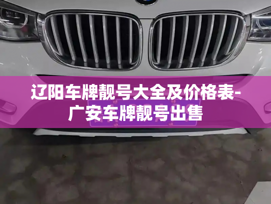 辽阳车牌靓号大全及价格表-广安车牌靓号出售-第3张图片-七号汽车选号 辽阳车牌靓号大全及价格表-广安车牌靓号出售-第3张图片-七号汽车选号