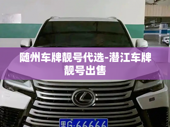 随州车牌靓号代选-潜江车牌靓号出售-第2张图片-七号汽车选号 随州车牌靓号代选-潜江车牌靓号出售-第2张图片-七号汽车选号