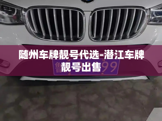 随州车牌靓号代选-潜江车牌靓号出售-第3张图片-七号汽车选号 随州车牌靓号代选-潜江车牌靓号出售-第3张图片-七号汽车选号