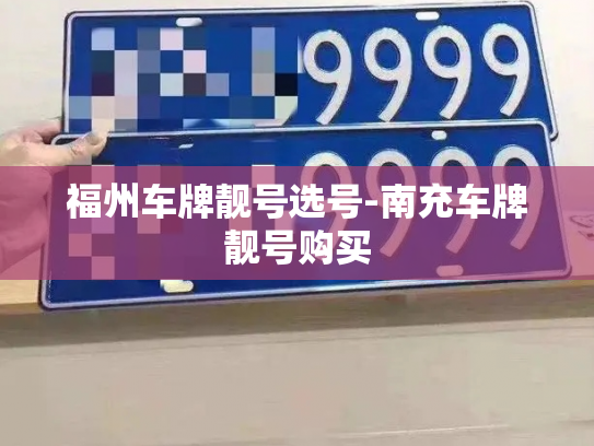 福州车牌靓号选号-南充车牌靓号购买-第3张图片-七号汽车选号 福州车牌靓号选号-南充车牌靓号购买-第3张图片-七号汽车选号