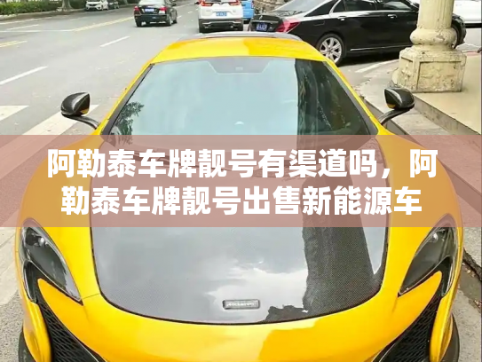 阿勒泰车牌靓号有渠道吗，阿勒泰车牌靓号出售新能源车-第2张图片-七号汽车选号