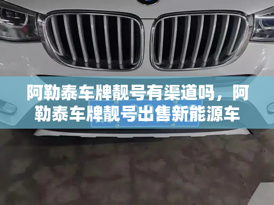 阿勒泰车牌靓号有渠道吗，阿勒泰车牌靓号出售新能源车-第3张图片-七号汽车选号