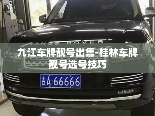 九江车牌靓号出售-桂林车牌靓号选号技巧-第2张图片-七号汽车选号
