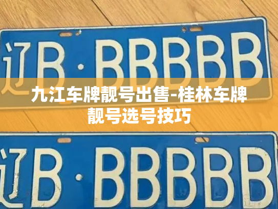 九江车牌靓号出售-桂林车牌靓号选号技巧-第3张图片-七号汽车选号
