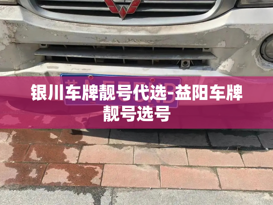 银川车牌靓号代选-益阳车牌靓号选号-第2张图片-七号汽车选号