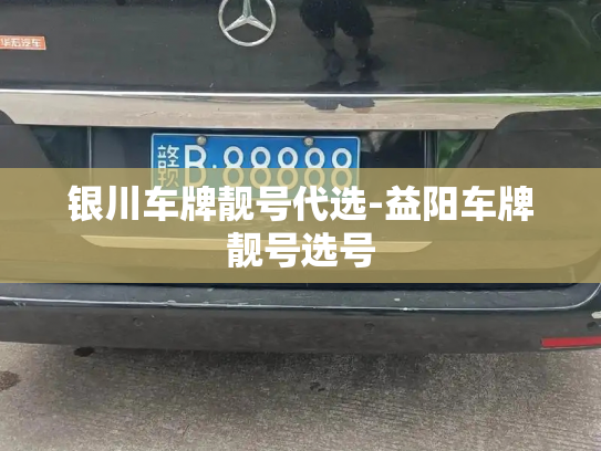 银川车牌靓号代选-益阳车牌靓号选号-第3张图片-七号汽车选号