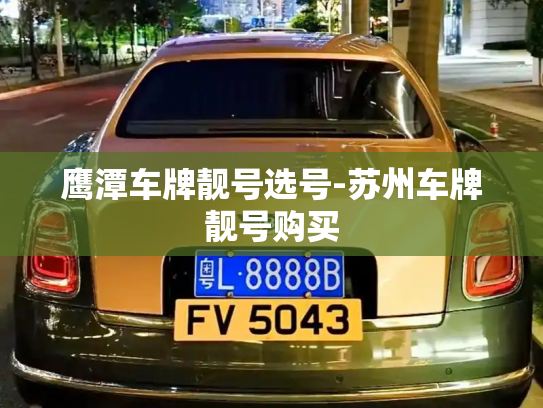 鹰潭车牌靓号选号-苏州车牌靓号购买-第2张图片-七号汽车选号 鹰潭车牌靓号选号-苏州车牌靓号购买-第2张图片-七号汽车选号