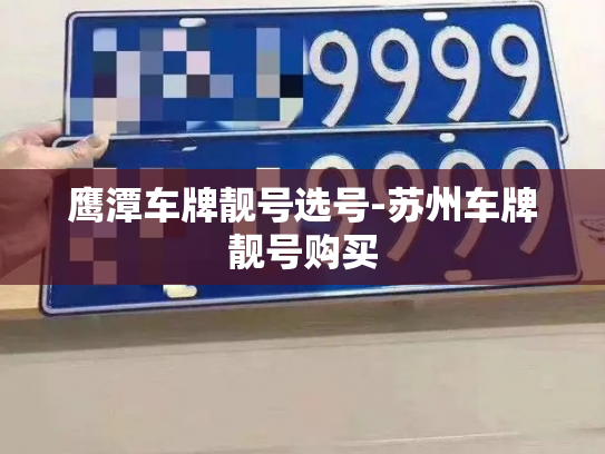 鹰潭车牌靓号选号-苏州车牌靓号购买-第1张图片-七号汽车选号 鹰潭车牌靓号选号-苏州车牌靓号购买-第1张图片-七号汽车选号