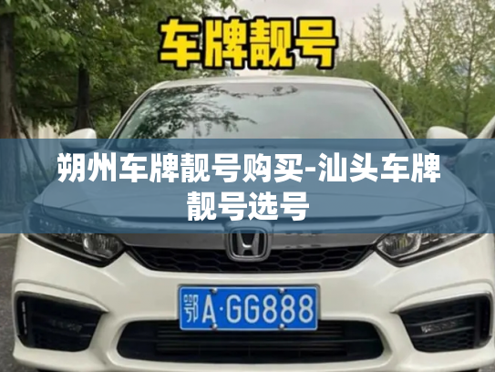 朔州车牌靓号购买-汕头车牌靓号选号-第2张图片-七号汽车选号 朔州车牌靓号购买-汕头车牌靓号选号-第2张图片-七号汽车选号
