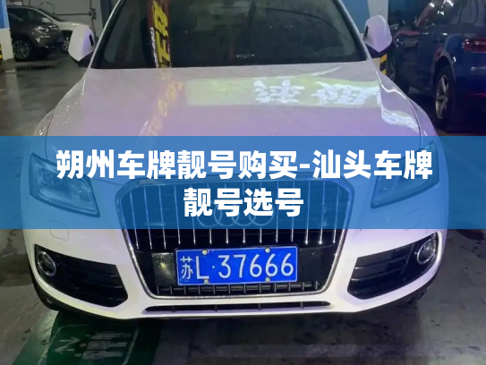 朔州车牌靓号购买-汕头车牌靓号选号-第3张图片-七号汽车选号 朔州车牌靓号购买-汕头车牌靓号选号-第3张图片-七号汽车选号