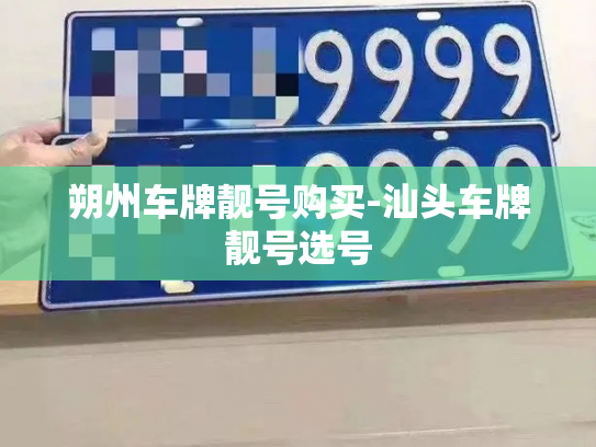 朔州车牌靓号购买-汕头车牌靓号选号-第1张图片-七号汽车选号 朔州车牌靓号购买-汕头车牌靓号选号-第1张图片-七号汽车选号