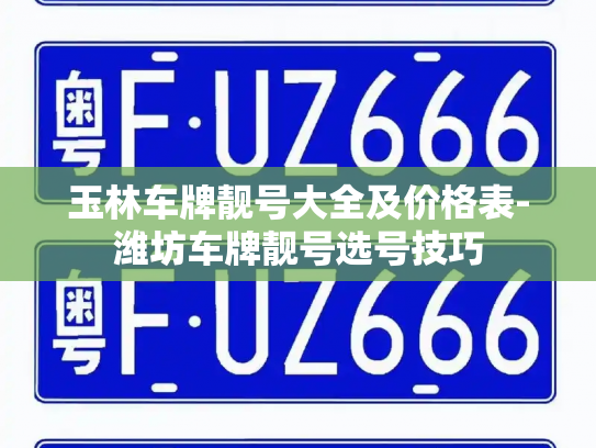 玉林车牌靓号大全及价格表-潍坊车牌靓号选号技巧-第2张图片-七号汽车选号 玉林车牌靓号大全及价格表-潍坊车牌靓号选号技巧-第2张图片-七号汽车选号