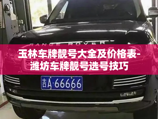 玉林车牌靓号大全及价格表-潍坊车牌靓号选号技巧-第3张图片-七号汽车选号 玉林车牌靓号大全及价格表-潍坊车牌靓号选号技巧-第3张图片-七号汽车选号