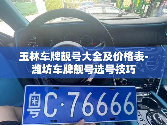 玉林车牌靓号大全及价格表-潍坊车牌靓号选号技巧