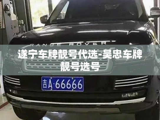 遂宁车牌靓号代选-吴忠车牌靓号选号-第2张图片-七号汽车选号