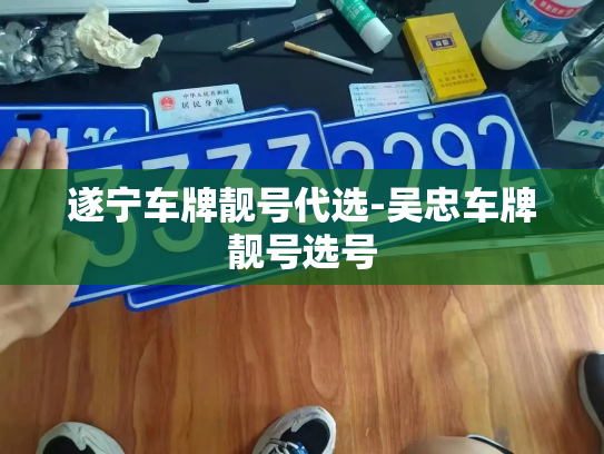 遂宁车牌靓号代选-吴忠车牌靓号选号-第3张图片-七号汽车选号