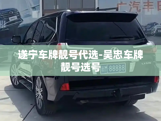 遂宁车牌靓号代选-吴忠车牌靓号选号-第1张图片-七号汽车选号