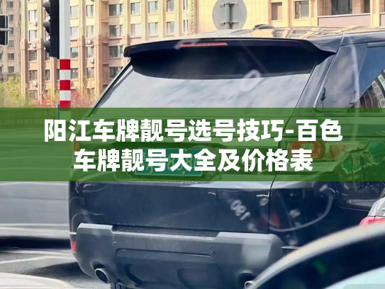 阳江车牌靓号选号技巧-百色车牌靓号大全及价格表-第2张图片-七号汽车选号