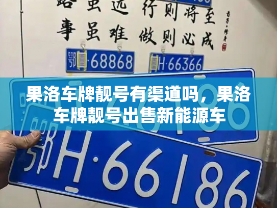 果洛车牌靓号有渠道吗，果洛车牌靓号出售新能源车-第2张图片-七号汽车选号