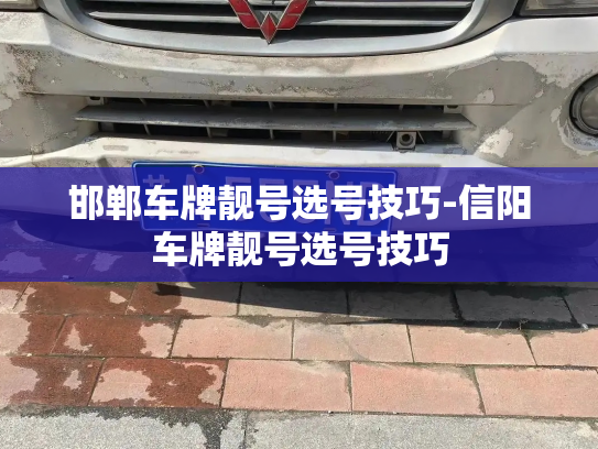 邯郸车牌靓号选号技巧-信阳车牌靓号选号技巧-第3张图片-七号汽车选号 邯郸车牌靓号选号技巧-信阳车牌靓号选号技巧-第3张图片-七号汽车选号