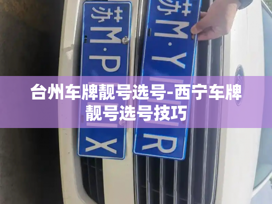 台州车牌靓号选号-西宁车牌靓号选号技巧-第2张图片-七号汽车选号