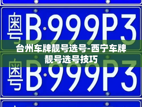 台州车牌靓号选号-西宁车牌靓号选号技巧-第3张图片-七号汽车选号