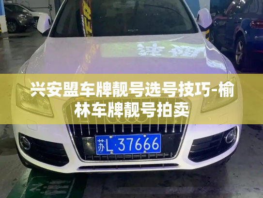 兴安盟车牌靓号选号技巧-榆林车牌靓号拍卖-第2张图片-七号汽车选号 兴安盟车牌靓号选号技巧-榆林车牌靓号拍卖-第2张图片-七号汽车选号