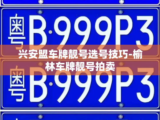 兴安盟车牌靓号选号技巧-榆林车牌靓号拍卖-第3张图片-七号汽车选号 兴安盟车牌靓号选号技巧-榆林车牌靓号拍卖-第3张图片-七号汽车选号
