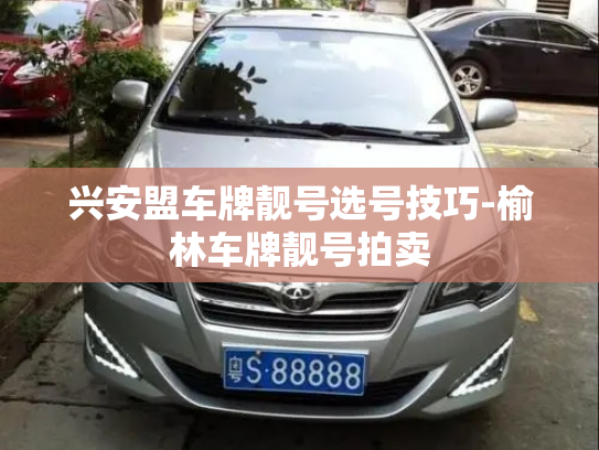 兴安盟车牌靓号选号技巧-榆林车牌靓号拍卖-第1张图片-七号汽车选号 兴安盟车牌靓号选号技巧-榆林车牌靓号拍卖-第1张图片-七号汽车选号