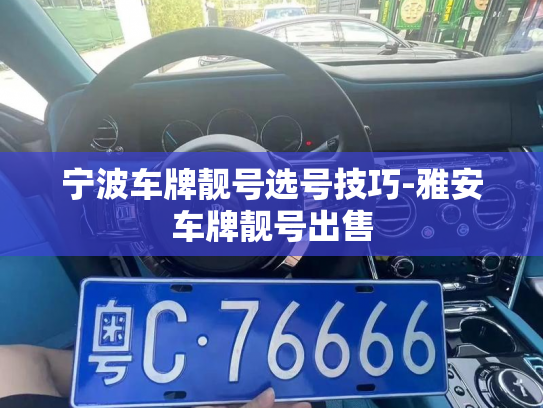 宁波车牌靓号选号技巧-雅安车牌靓号出售-第3张图片-七号汽车选号 宁波车牌靓号选号技巧-雅安车牌靓号出售-第3张图片-七号汽车选号