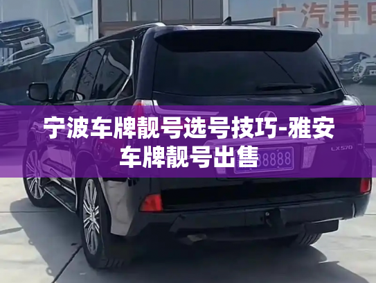 宁波车牌靓号选号技巧-雅安车牌靓号出售-第1张图片-七号汽车选号 宁波车牌靓号选号技巧-雅安车牌靓号出售-第1张图片-七号汽车选号