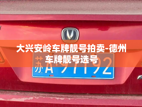 大兴安岭车牌靓号拍卖-德州车牌靓号选号-第2张图片-七号汽车选号