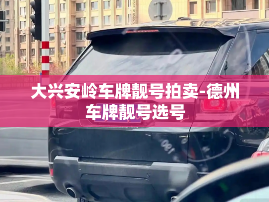 大兴安岭车牌靓号拍卖-德州车牌靓号选号-第3张图片-七号汽车选号