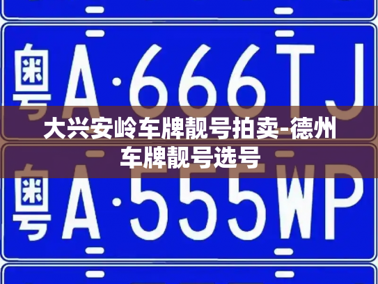 大兴安岭车牌靓号拍卖-德州车牌靓号选号