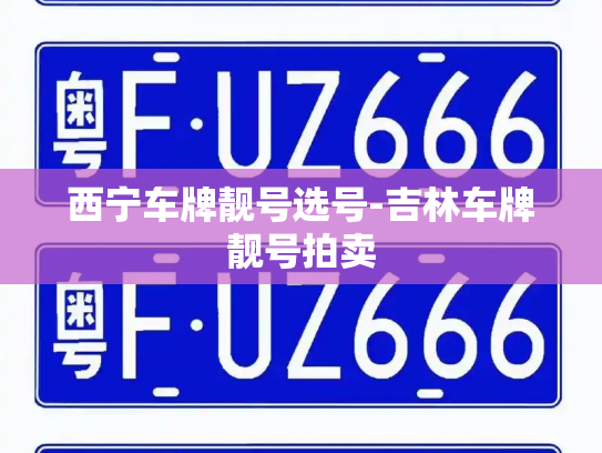 西宁车牌靓号选号-吉林车牌靓号拍卖-第1张图片-七号汽车选号 西宁车牌靓号选号-吉林车牌靓号拍卖-第1张图片-七号汽车选号