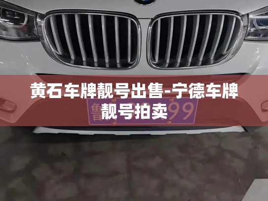 黄石车牌靓号出售-宁德车牌靓号拍卖-第2张图片-七号汽车选号 黄石车牌靓号出售-宁德车牌靓号拍卖-第2张图片-七号汽车选号
