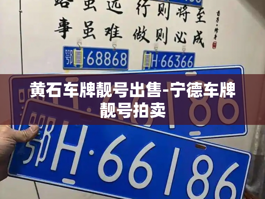 黄石车牌靓号出售-宁德车牌靓号拍卖-第1张图片-七号汽车选号 黄石车牌靓号出售-宁德车牌靓号拍卖-第1张图片-七号汽车选号
