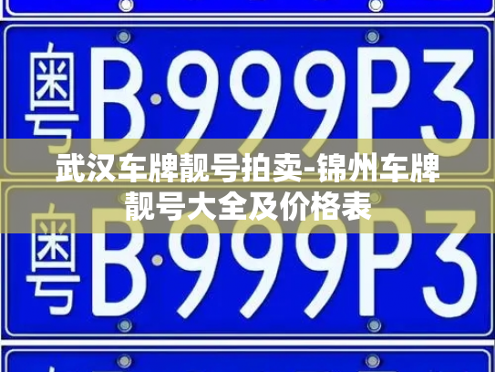 武汉车牌靓号拍卖-锦州车牌靓号大全及价格表-第2张图片-七号汽车选号 武汉车牌靓号拍卖-锦州车牌靓号大全及价格表-第2张图片-七号汽车选号