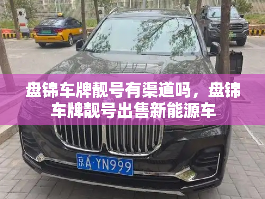 盘锦车牌靓号有渠道吗,盘锦车牌靓号出售新能源车-第2张图片-七号汽车选号 盘锦车牌靓号有渠道吗,盘锦车牌靓号出售新能源车-第2张图片-七号汽车选号