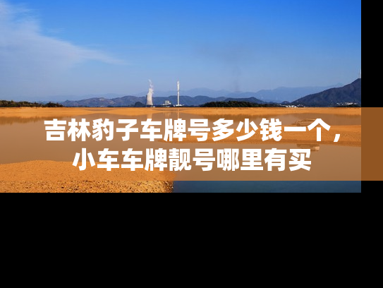 吉林豹子车牌号多少钱一个，小车车牌靓号哪里有买