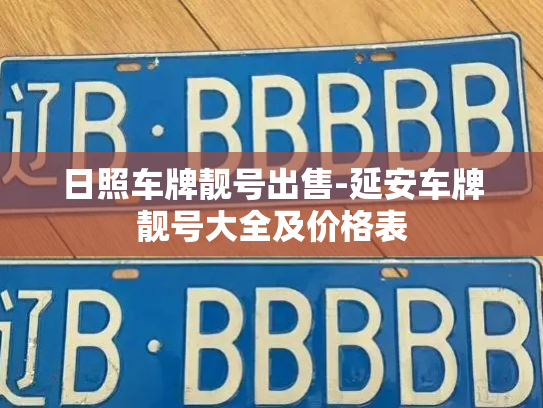 日照车牌靓号出售-延安车牌靓号大全及价格表-第3张图片-七号汽车选号