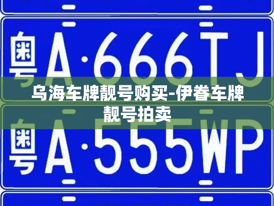 乌海车牌靓号购买-伊眷车牌靓号拍卖-第2张图片-七号汽车选号 乌海车牌靓号购买-伊眷车牌靓号拍卖-第2张图片-七号汽车选号