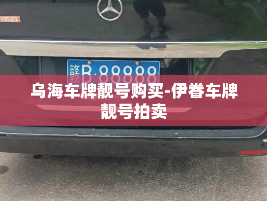 乌海车牌靓号购买-伊眷车牌靓号拍卖-第3张图片-七号汽车选号 乌海车牌靓号购买-伊眷车牌靓号拍卖-第3张图片-七号汽车选号