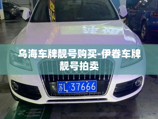 乌海车牌靓号购买-伊眷车牌靓号拍卖-第1张图片-七号汽车选号 乌海车牌靓号购买-伊眷车牌靓号拍卖-第1张图片-七号汽车选号