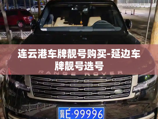 连云港车牌靓号购买-延边车牌靓号选号-第2张图片-七号汽车选号