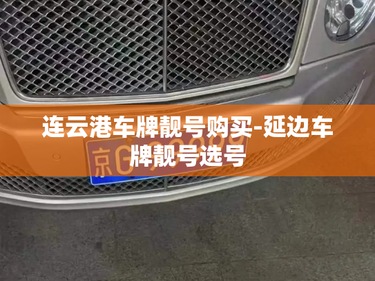 连云港车牌靓号购买-延边车牌靓号选号-第3张图片-七号汽车选号